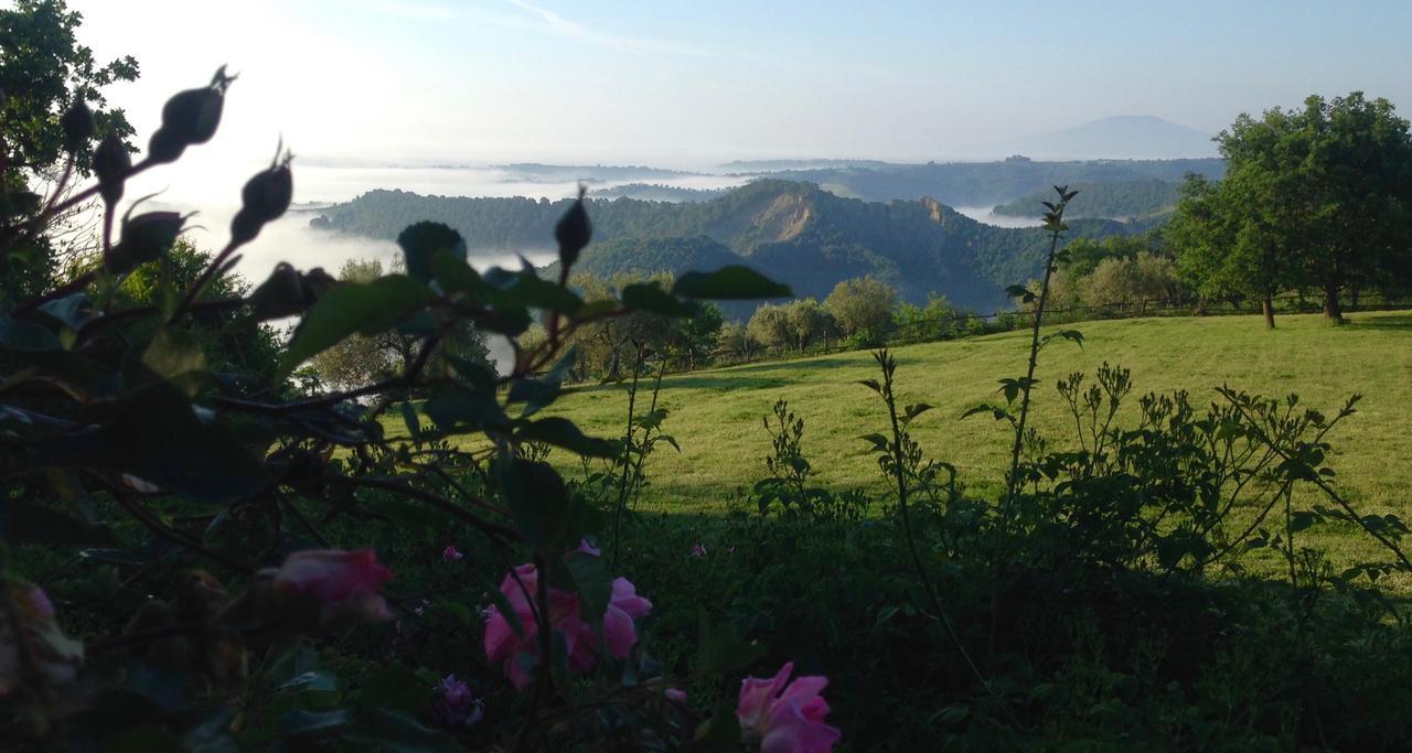 Bed And Breakfast Dopo Il Settimo Cielo Lubriano エクステリア 写真