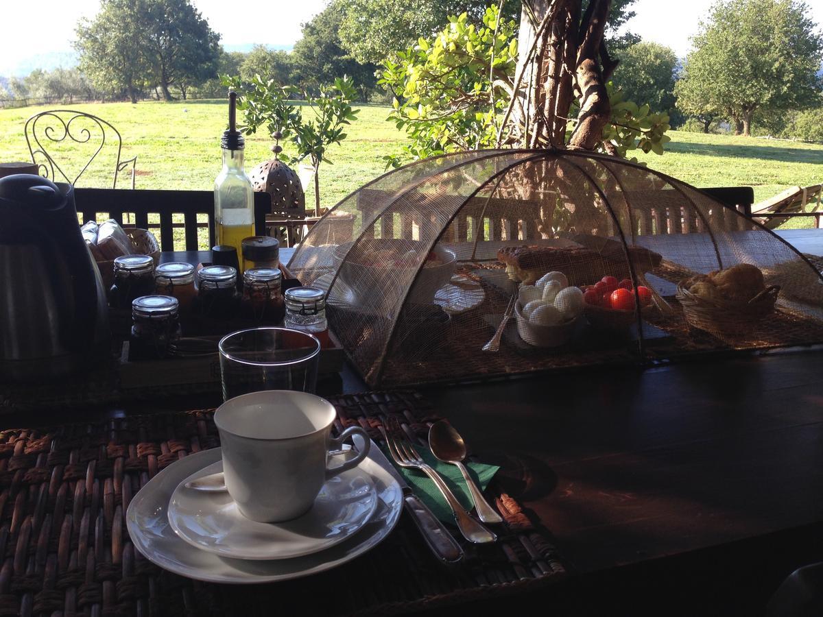 Bed And Breakfast Dopo Il Settimo Cielo Lubriano エクステリア 写真
