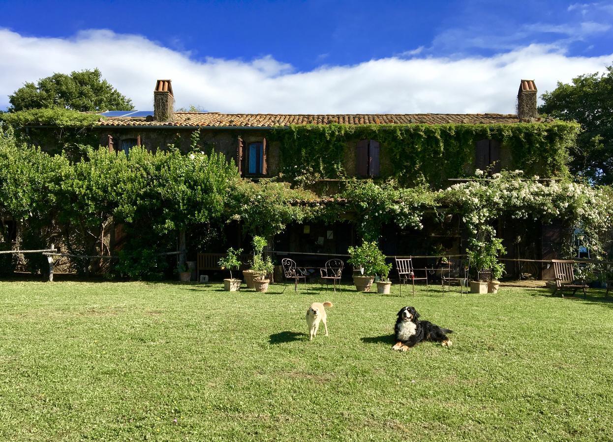 Bed And Breakfast Dopo Il Settimo Cielo Lubriano エクステリア 写真