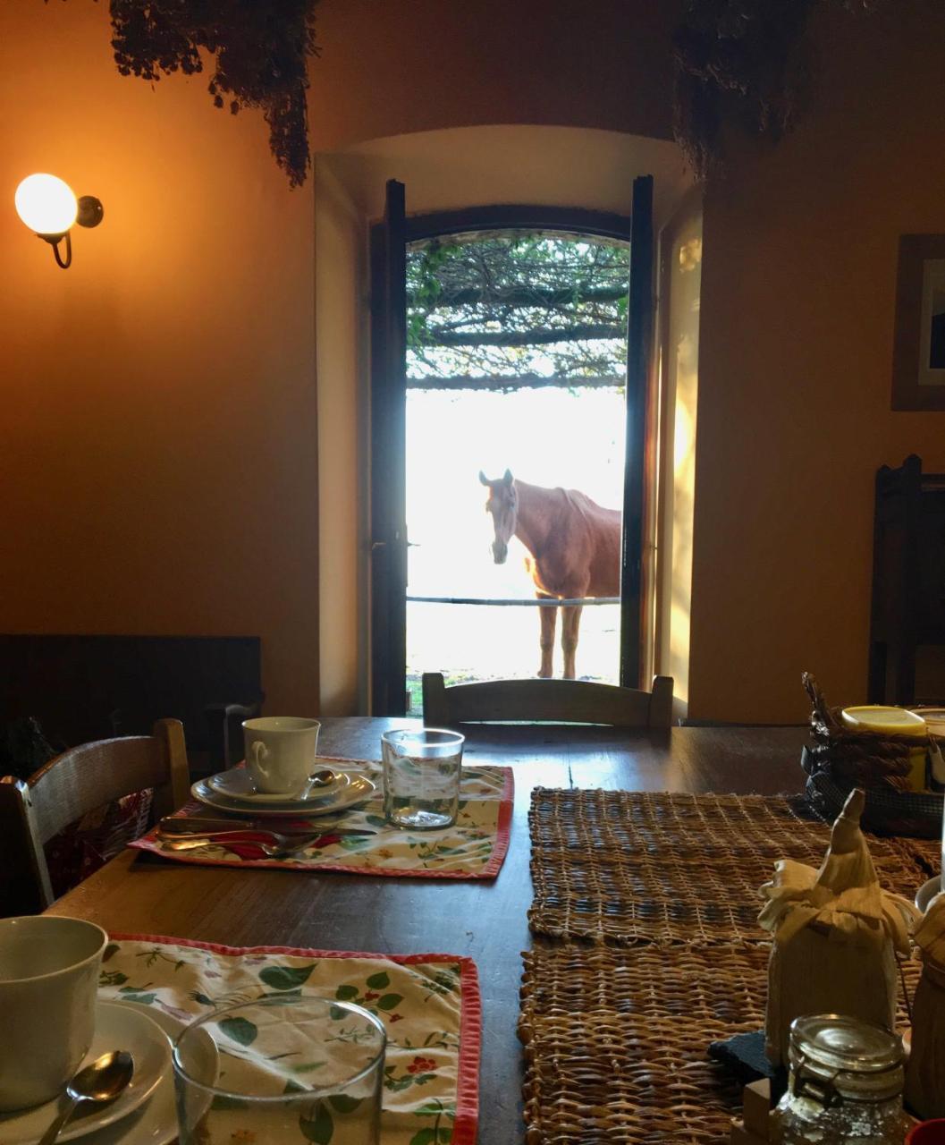 Bed And Breakfast Dopo Il Settimo Cielo Lubriano エクステリア 写真